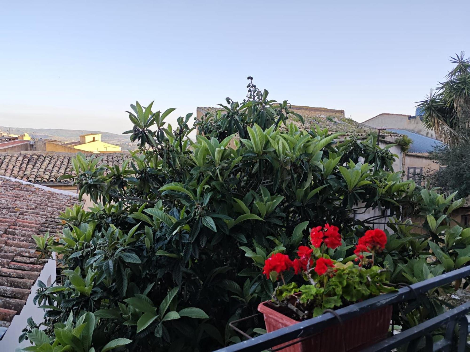 Villa Amoroso - Ospitalita Mediterranea Agrigento Zewnętrze zdjęcie