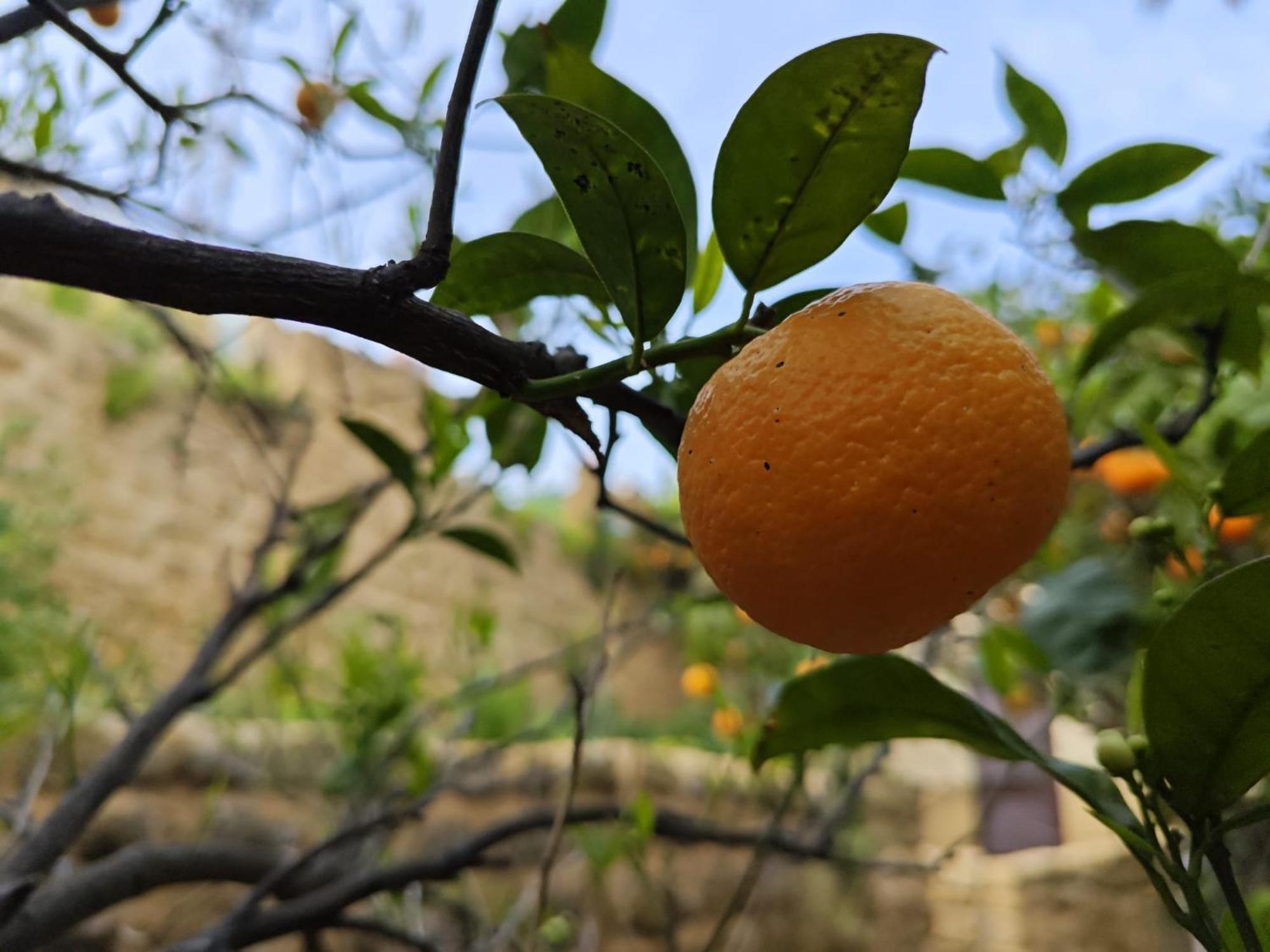 Villa Amoroso - Ospitalita Mediterranea Agrigento Zewnętrze zdjęcie