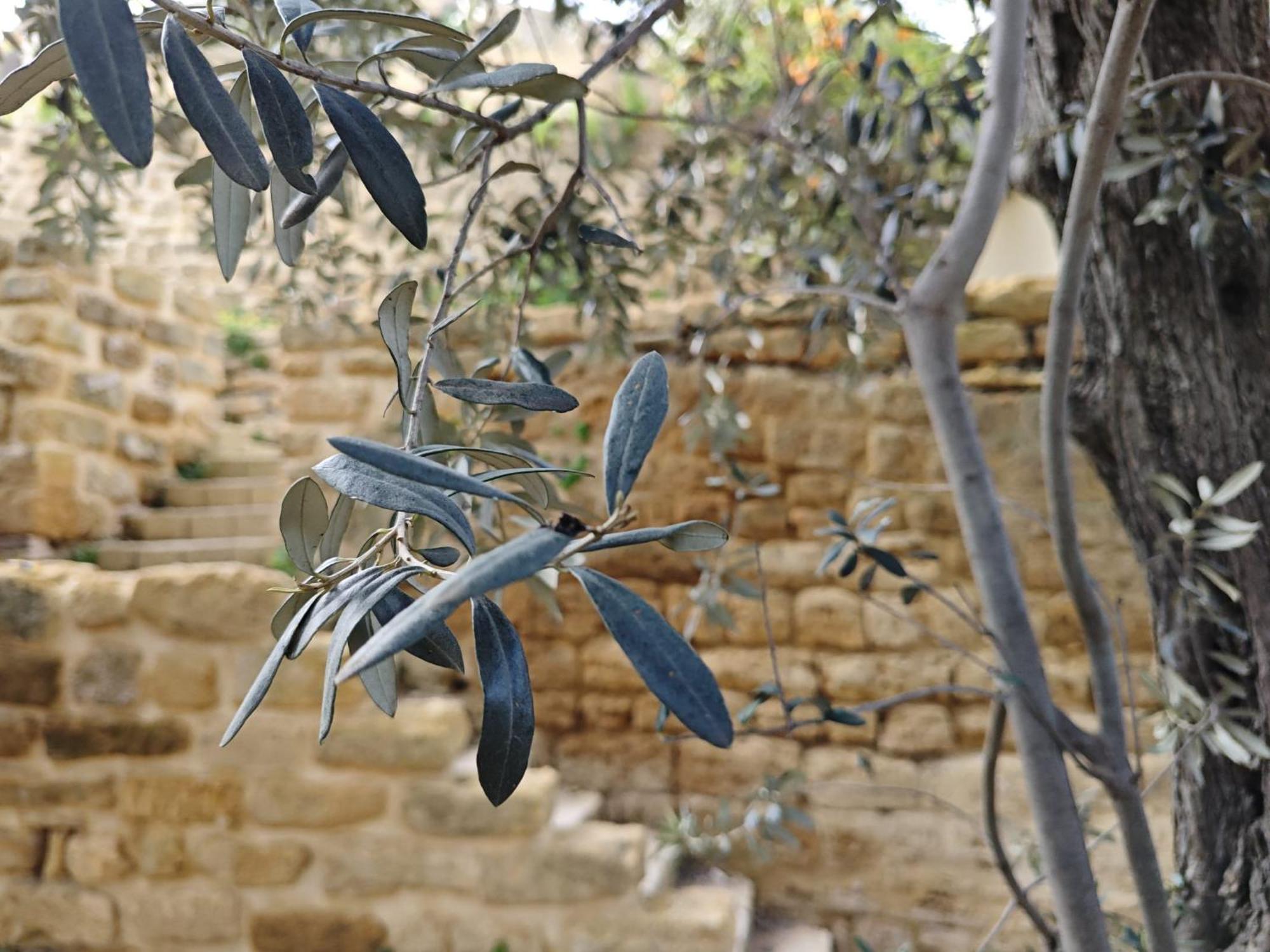 Villa Amoroso - Ospitalita Mediterranea Agrigento Zewnętrze zdjęcie